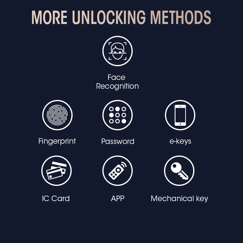 Biometrisches Schloss LS-T100A – Produktfoto