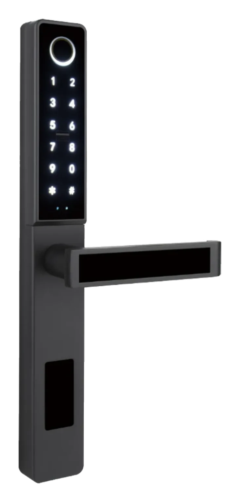 LS-C81 Smart Lock